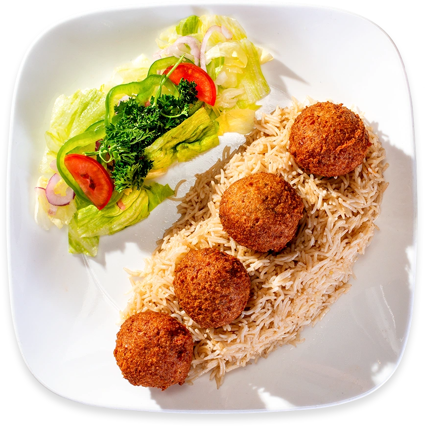 Falafel Plate
